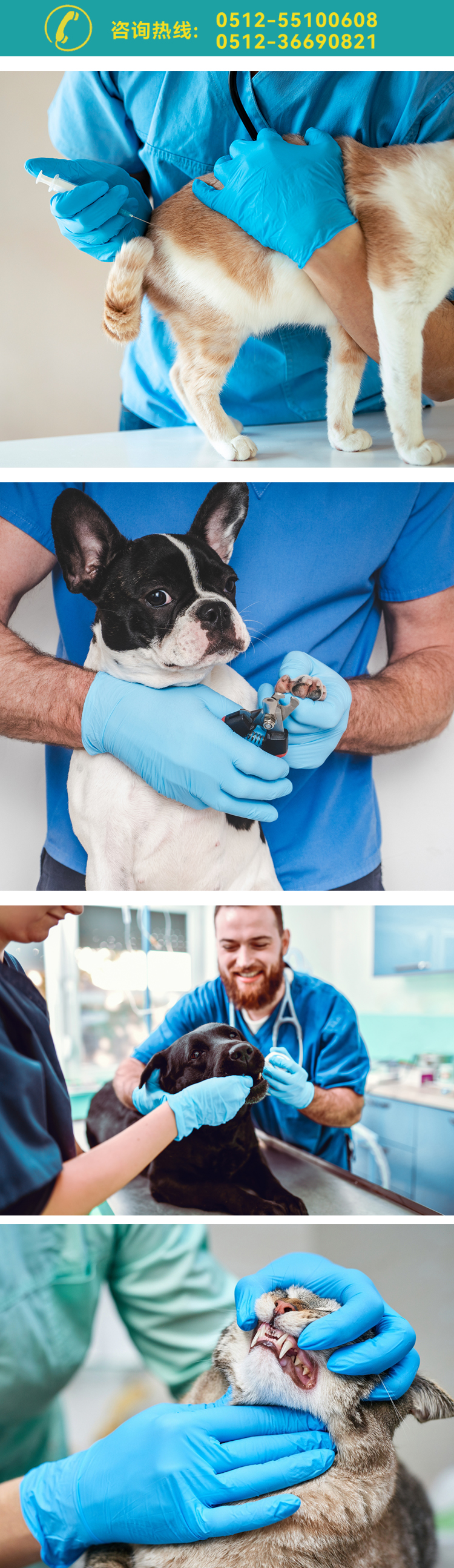 寵物丁腈 詳情222.jpg